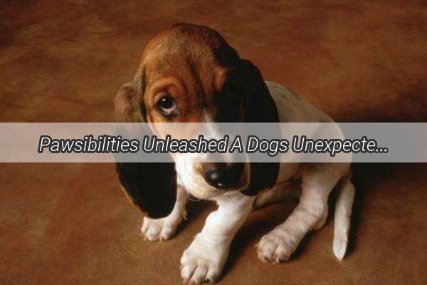 Pawsibilities Unleashed A Dogs Unexpected Key to Unlocking His Owners Life